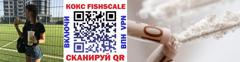 Купить  Салаир  Cocaine Fish Scale 