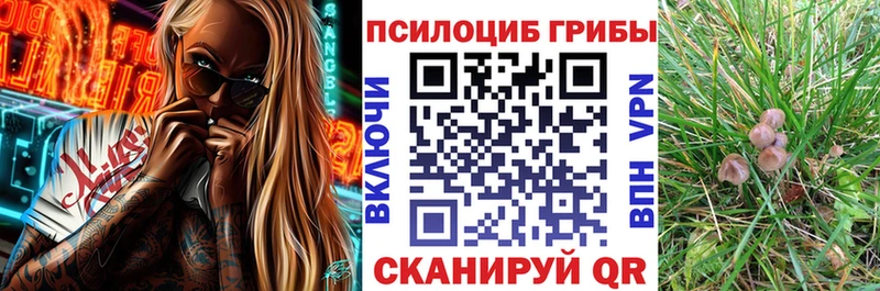 Галлюциногенные грибы мицелий  Купить  Салаир 